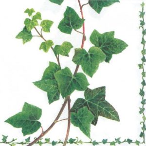 Servilleta Hiedra A610