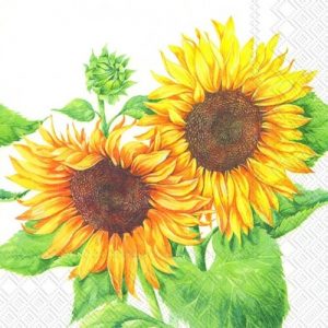 Servilleta Girasol H342