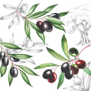 Servilleta Aceitunas Negras A929