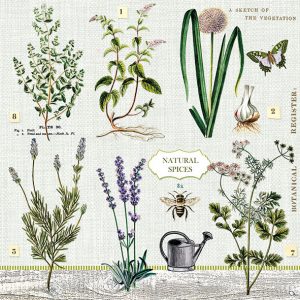 Servilleta Especies Naturales A724