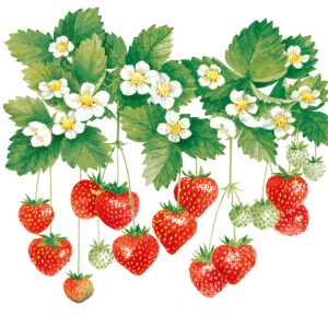 Servilleta Frutillas de Verano A697