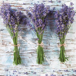 Servilleta Retrato de Lavanda D102
