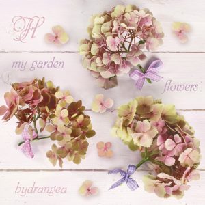 Servilleta Hortensias D042