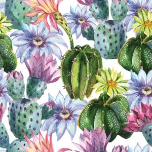 Servilleta Cactus Mix D097