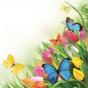 Servilleta Historia de Mariposas D030