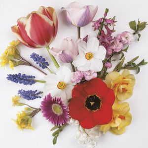 Servilleta Mix de Flores D039