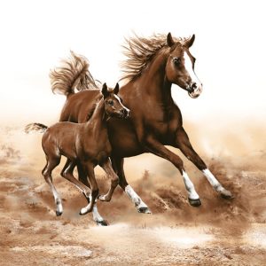 Servilleta Yegua y Potro M196