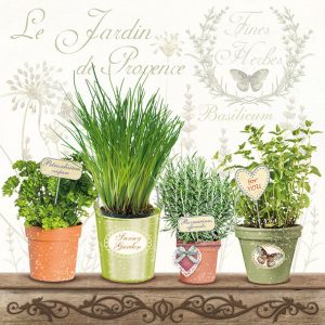 Servilleta El Jardín de la Provenza A788