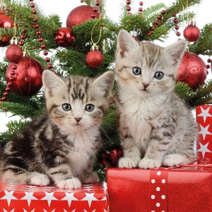 Servilleta Gatitos Navideños N246