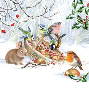Servilleta Compartir Navideño N264