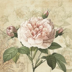 Servilleta Rosa Vintage M091