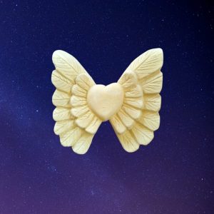 Corazón Abierto YE220