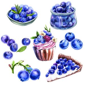 Servilleta Blueberries A1980