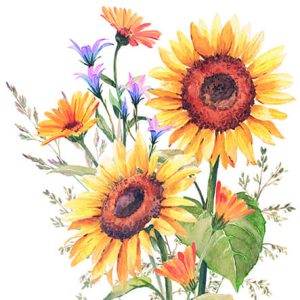 Servilleta Girasoles A2010
