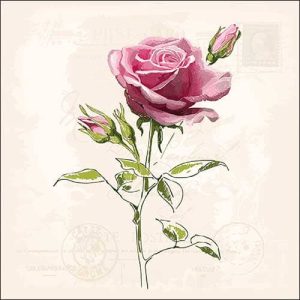 Servilleta Rosa Vintage A1645