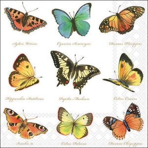 Servilleta Colección de mariposas A3105