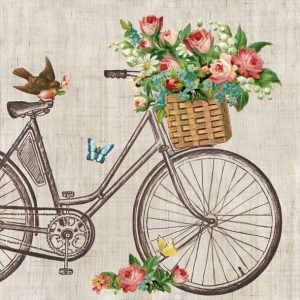 Servilleta En Bicicleta A3050