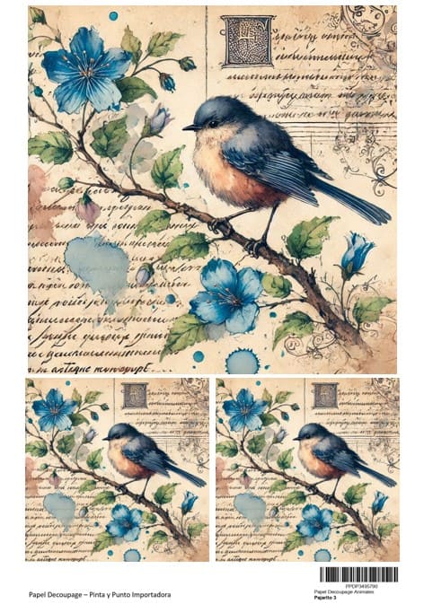 PAJARITO 3
