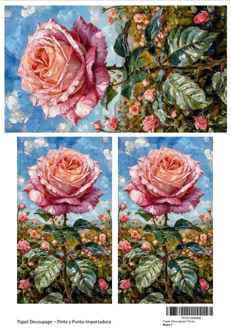 ROSA 1