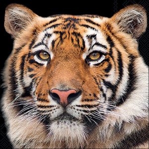 Servilleta Tiger A3675