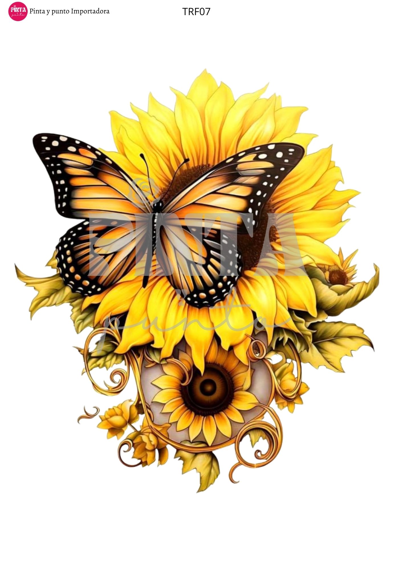 GIRASOL TRF07