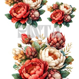 Lámina Transfer 20X30 Peonias