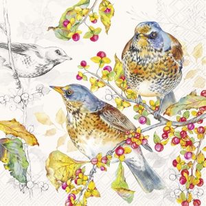 Servilleta Pajarito H1395