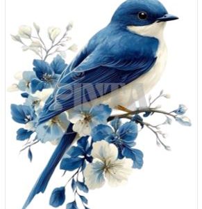Lámina Transfer 20X30 Golondrina Azul
