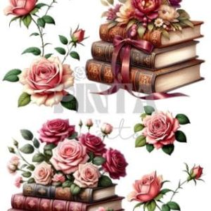Lámina Transfer 20X30 Libros y rosas