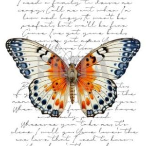 Lámina Transfer 20X30 Mariposa vintage