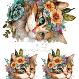 Lámina Transfer 20X30 Gatito 1