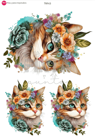 Gatito 1 TRF43