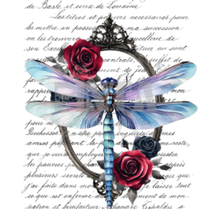 Lámina Transfer 20X30 Libélula Vintage