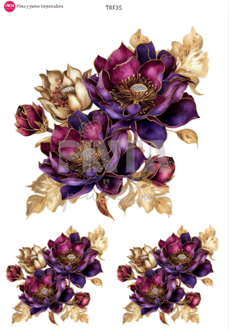 Peonia Violeta TRF35